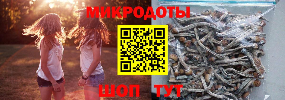 Озёрск  Галлюциногенные грибы MAGIC MUSHROOMS  Вход с VPN  Псилоцибиновые грибы MAGIC MUSHROOMS 